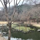 구갈레스피아공원 이미지