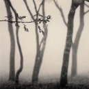 에밀리브론테의 폭풍의언덕 이미지