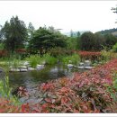 부산수목전시원 이미지