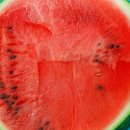 정담한끼 이미지