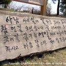 농원 솔