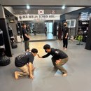 디펜스 블랙펄 이미지