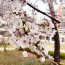 제1교주유소 이미지