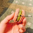 유니크디저트(Unique dessert) 이미지