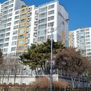 푸른청소 이미지