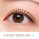 노*준 | 아침 화장 시간 줄여준 내당동 노글루 속눈썹펌 후기