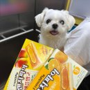 후렌치파이 신상 감귤마말레이드 &amp;애플망고맛 (롯데마트 웅상점)