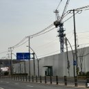 검로푸한들약국 이미지