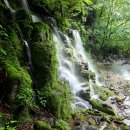 딸부자집민박 이미지