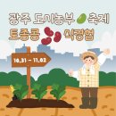 광주여인숙 | 도시농부축제 - 토종콩 식경험 체험 후기