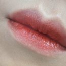 디올 어딕트 립글로우 Dior 8 브릭레드 내돈내산 발색 후기