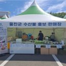 울진건어물