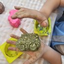 멍멍플라워 이미지