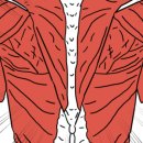 라파힐링센타 이미지