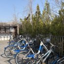 공공자전거대여소 부천시청역 | 세종시 자전거코스 추천 국립세종수목원에서 이응다리까지 공공자전거 어울링 이용 후기