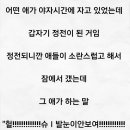 슈발 이미지