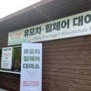 안경과 사람들 | 안성 | 36개월 미만 무료 | 아이랑 즐길거리 많은 [안성팜랜드]