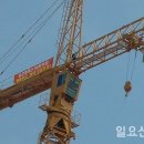 골드타워크레인