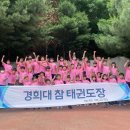 경희대박사 참태권도장 이미지