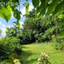 숲속연세유치원 | 팔달동요양원 연세숲속요양원 이용후기