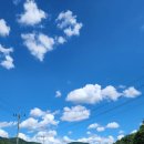 남원흑염소 이미지