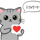 안산 솔로몬베이커리 방문후기