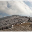 노고단-17 이미지