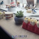 서울룬치과의원 이미지