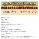 긴급 ㅡ 특가 // 꿀고구마 10키로 21,000원 무료배송 // 주소 바로 주실분 ㅡ 주문하세요 이미지