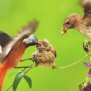 사진전시회 이미지