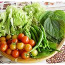 텃밭가꾸기 이미지