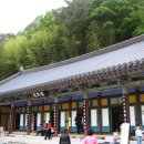 내원사 - 811 | 내원사