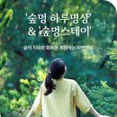 숲멍 이미지