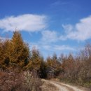 수도녹색숲모티길 이미지