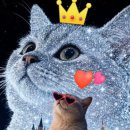 PHOTO SLATE 이미지