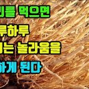 쇠무릎-이 약초는 허리와 무릎에 힘이생기고, 뇌가 건강해져 치매를 모르며, 불끈 불끈 기력이 솟아올라, 회춘을 경험하게 된다 조회수 1 이미지