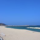 후포수협바다마트 이미지