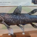 부산해양자연사박물관 이미지