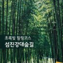 대숲 이미지