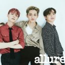 루시 이미지