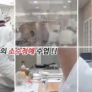 정예식품