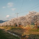 구지동로 이미지