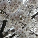 교산저수지 이미지