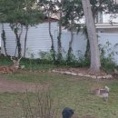 작은동물원 이미지