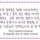 유포리아(Euphoria) | [선착순특가⭐] 유포리아 euphoria 인스턴트타투▼ 3500원