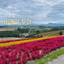 라벤더 | 삿포로 비에이투어 예약 후기 라벤더축제 여름 7월 8월 날씨