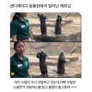 이쁘댕 | 빠르게 보내는 3월, 마지막은 벚꽃으로