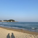 아너스골프아카데미아너스프렌즈진주점 | 2월 일상 (오늘의집밥/해리단길맛집/프렌즈클럽/무크커피/초필쌀껍데기/버거인뉴욕/코드제로구매/산책...
