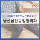 정수의료재단 | 울산삼산동정형외과, 가벼운 엉덩방아가 생명을 위협하는 이유