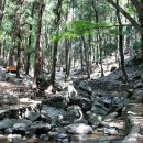 구봉산 가는길 이미지